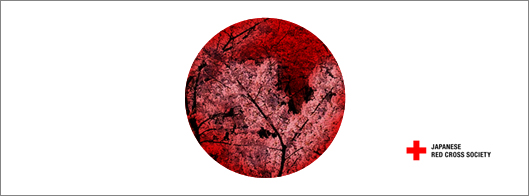 Play4Japan