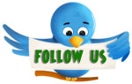 Follow Us