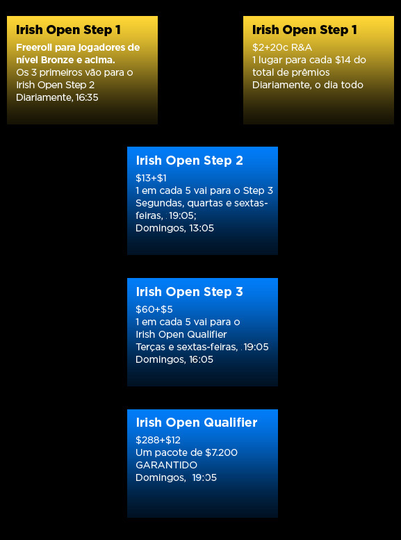Irish poker open 2011 - flow chart
