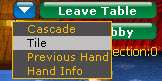 View menu