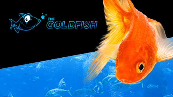 Poker goldfish