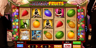 Ninja Fruits Slot